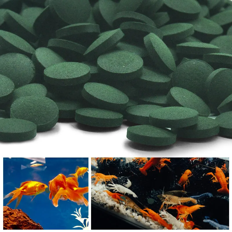 Spirulina Tablet Organic - 100-500 pces comprimidos de espirulina de