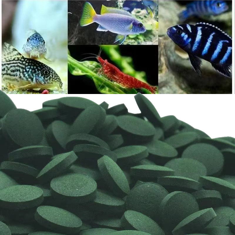 Spirulina Tablet Organic - 50/100/300/500 pçs comprimidos de spirulina espiral
