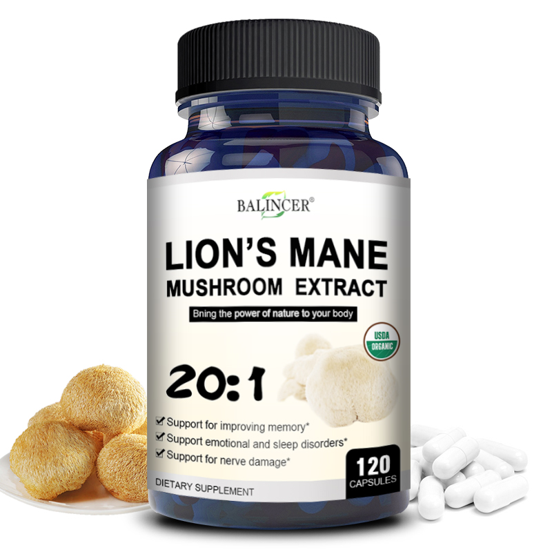 Lion Mane Mushroom - Mane de Leão - Memória cerebral