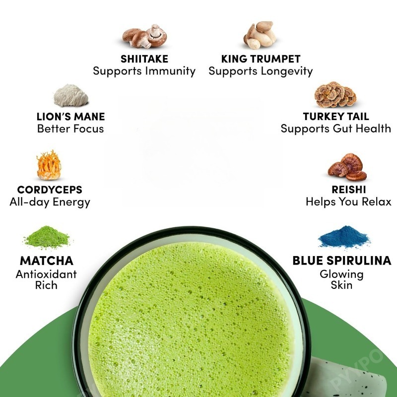 Suplemento Orgânico de Matcha  - Lion Mane Mushroom avaliação e preço