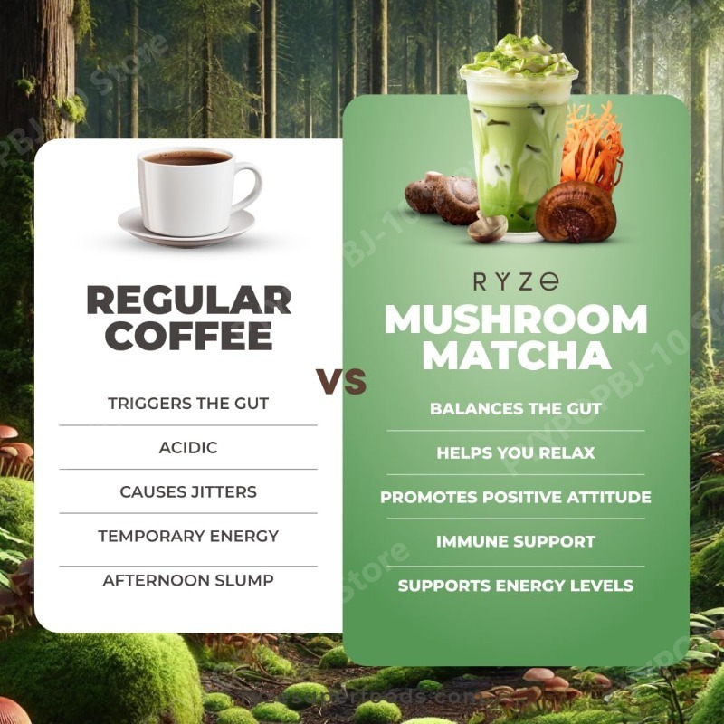 Suplemento Orgânico de Matcha  - Lion Mane Mushroom avaliação e preço