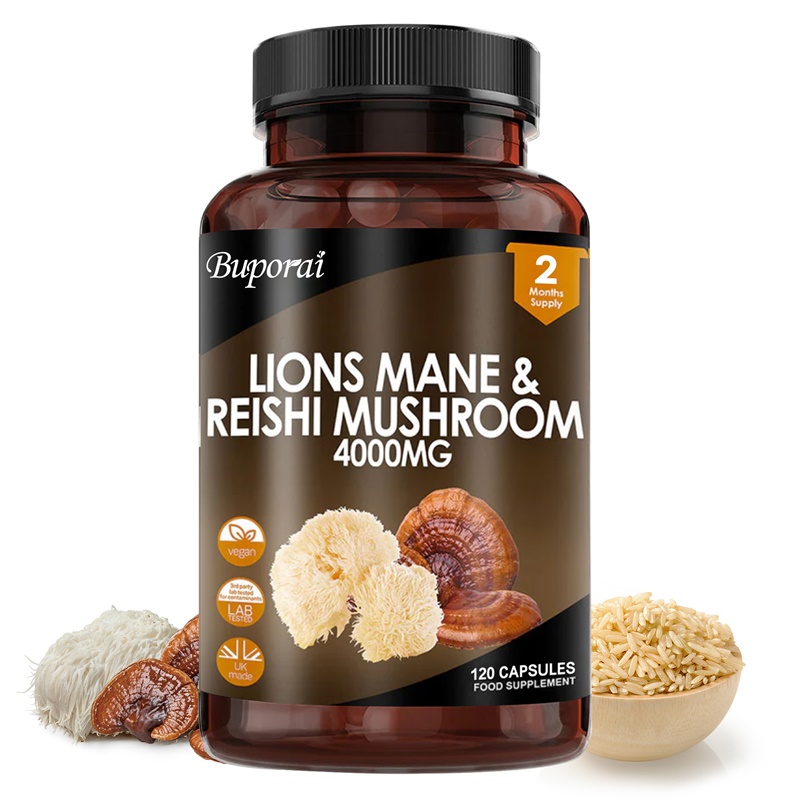 Lions Mane & Reishi Mushroom 4 - Lion Mane Mushroom avaliação e preço