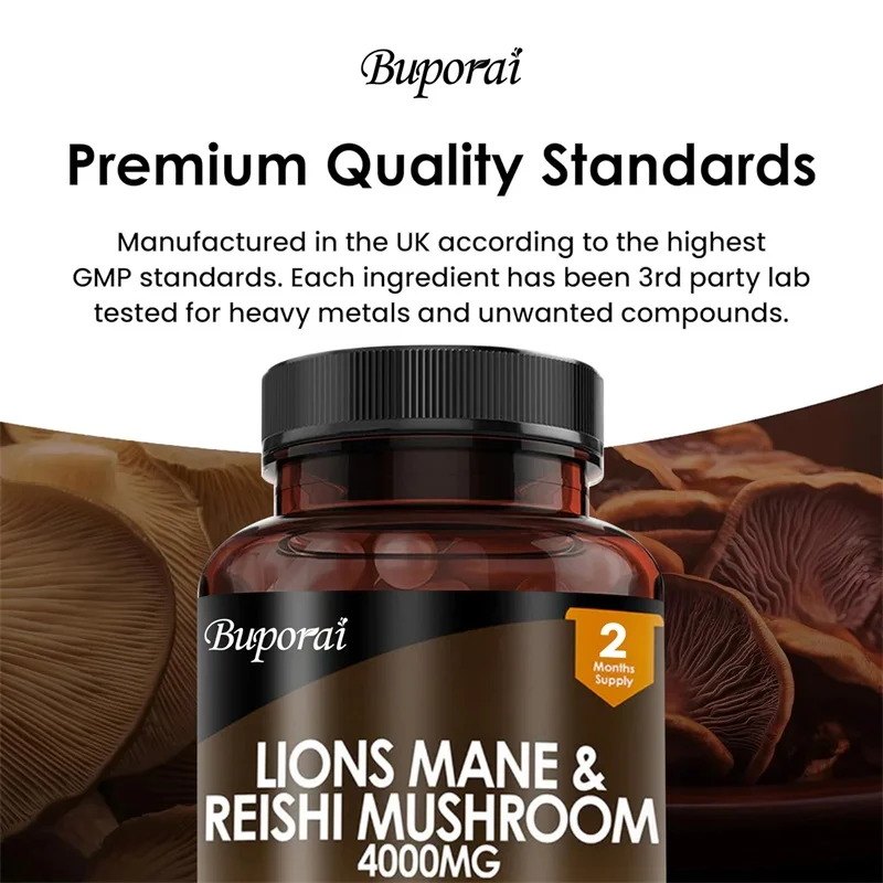 Lions Mane & Reishi Mushroom 4 - Lion Mane Mushroom avaliação e preço