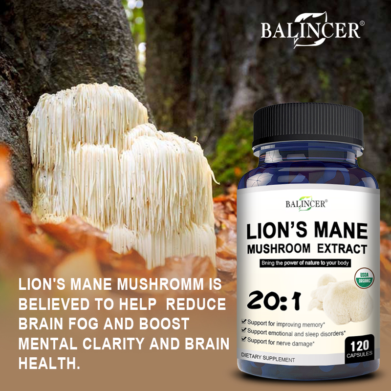 Mane de Leão - Memória cerebra - Lion Mane Mushroom avaliação e preço
