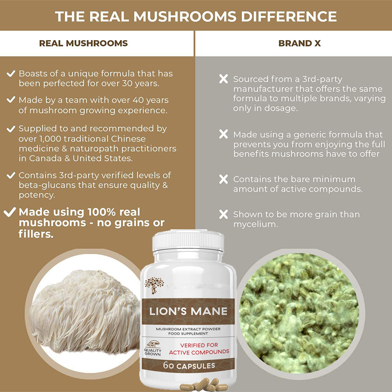 As cápsulas de cogumelo Ganode - Lion Mane Mushroom avaliação e preço